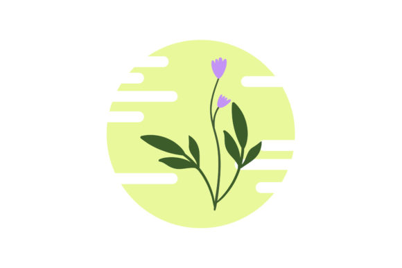 Botany Flowers Illustration: A Designer's Review of Graphics and Illustrations