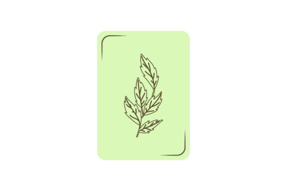 Flowers Beauty Card Vector Illustration for Graphics and Freebies
