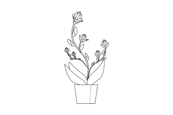 Flowers Beauty Garden Outline: Premium Graphics and Illustrations