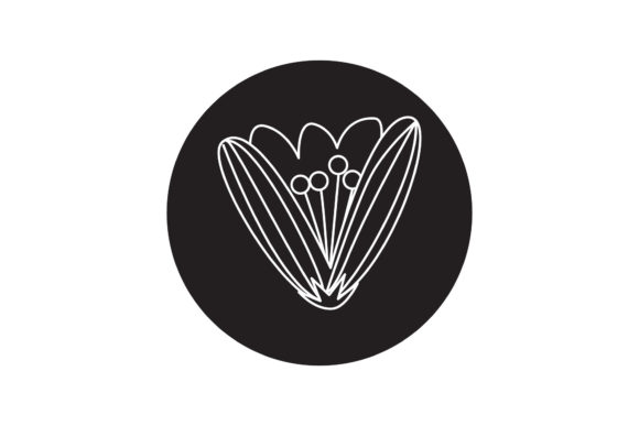 Flowers Botanical Illustration Line Styl Graphics Freebies Review