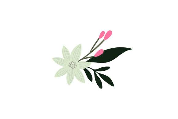 Flowers Nature Color Graphics for Modern Illustrations