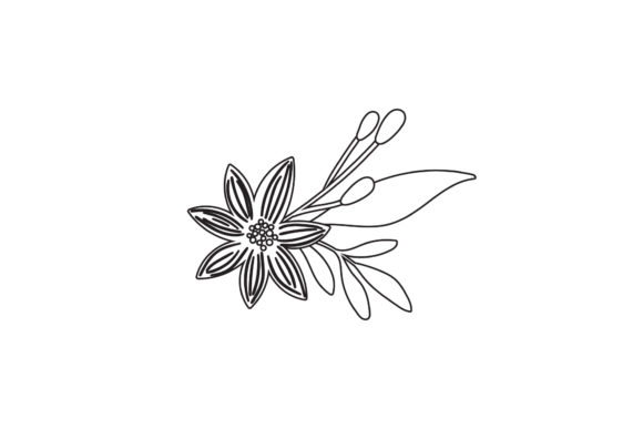 Flowers Nature Color Line Style Graphics Freebies Review