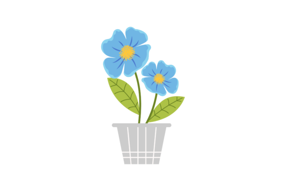 Flowers Summer Plant Review